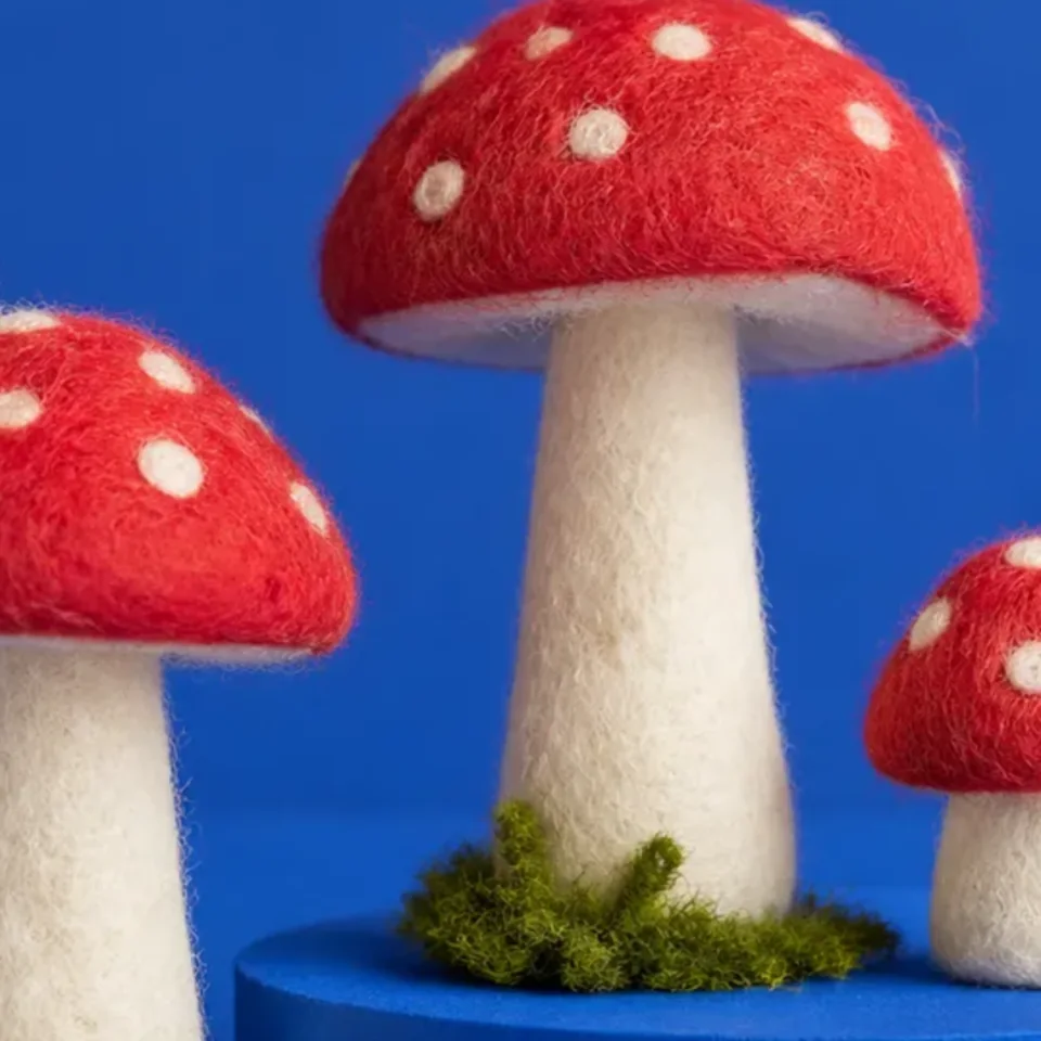 Close-up van rode paddenstoelen van wol met witte stippen